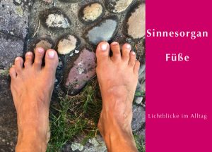Beitragsbild zum Video Achtsamkeit - Sinnesorgan Füße
